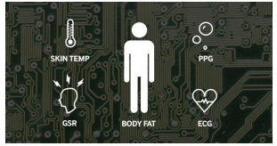 2026年ADC芯片行业发展趋势及投资战略分析(图1)