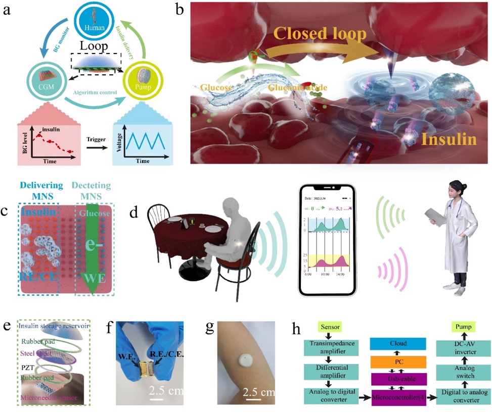 三亿体育科技股份有限公司苹果8-OFweek电子工程网(图1)